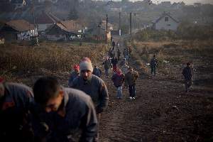 Travail obligatoire. A l'aube, plusieurs dizaine de Roms partent travailler dans les champs.