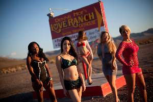 En plein milieu du désert,le Love Ranch accueille les femmes, professionnelles ou non, prêtes à vendre leurs charmes aux clients de passage.
