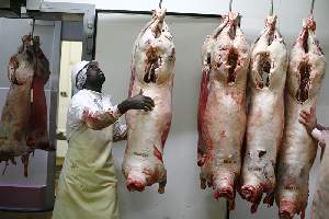 Abattoir DUPAS à Jossigny. Les animaux y sont abattus par des sacrificateurs, selon le rituel musulman.